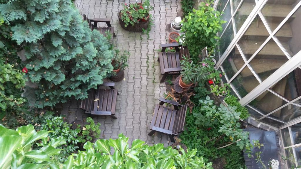 Vila Monica Bed and Breakfast Târgu-Mureş Exteriör bild