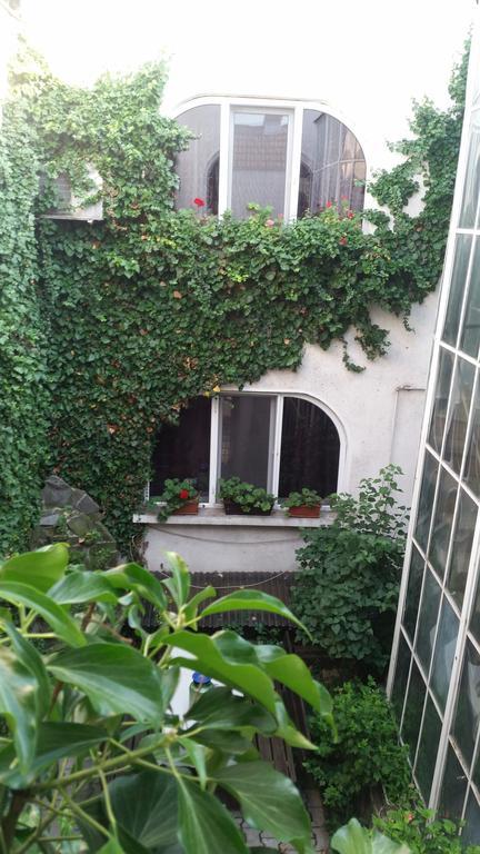 Vila Monica Bed and Breakfast Târgu-Mureş Exteriör bild