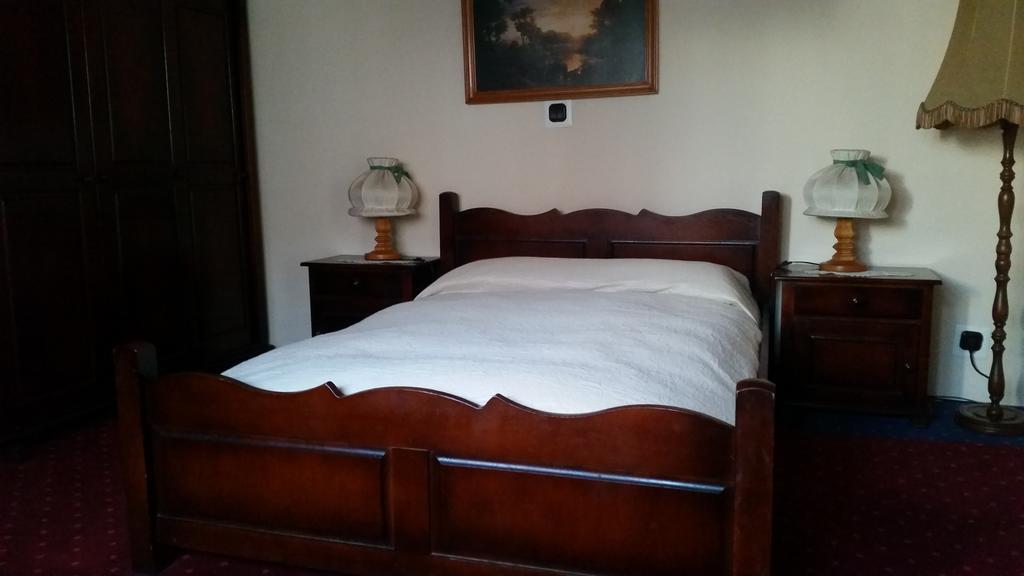 Vila Monica Bed and Breakfast Târgu-Mureş Rum bild