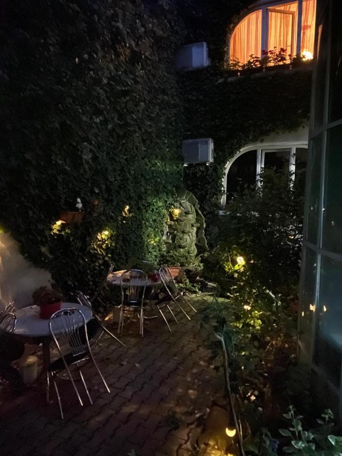 Vila Monica Bed and Breakfast Târgu-Mureş Exteriör bild
