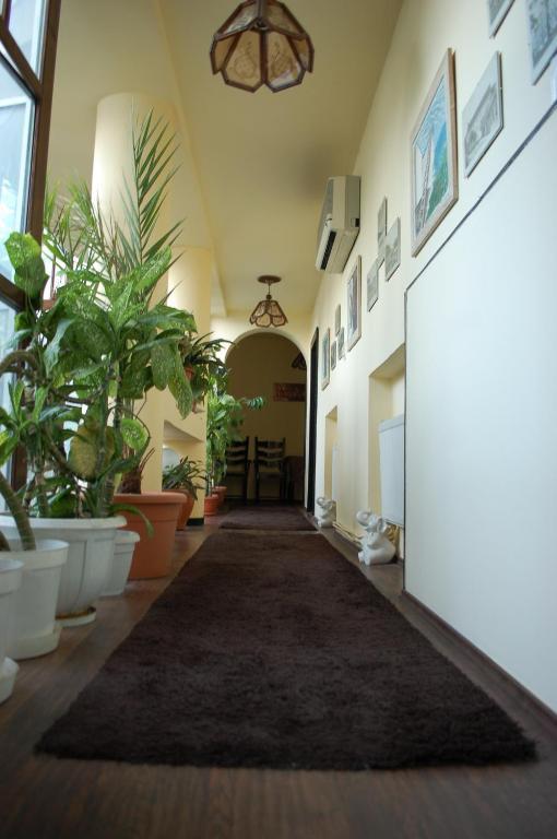 Vila Monica Bed and Breakfast Târgu-Mureş Exteriör bild