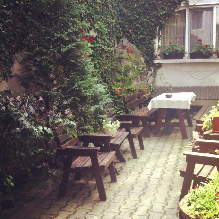 Vila Monica Bed and Breakfast Târgu-Mureş Exteriör bild